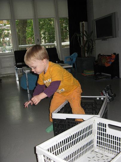 Imme 24 augustus 2008 (3).JPG